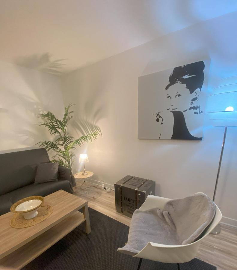 Hirondelle : Appartement Prive Avec Garage アヌシー エクステリア 写真