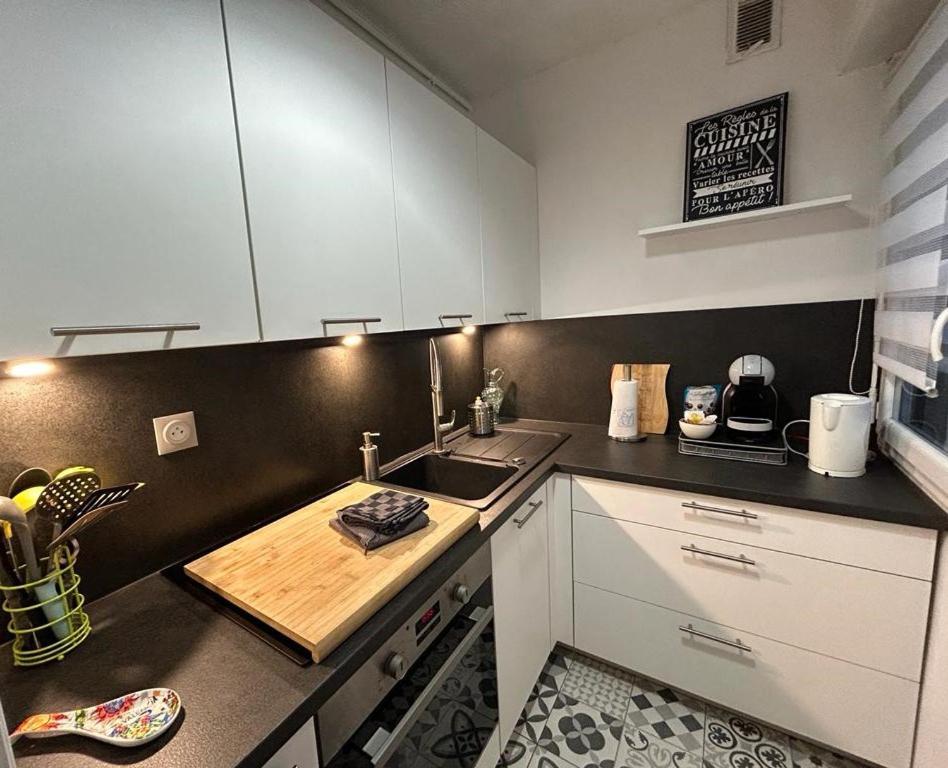Hirondelle : Appartement Prive Avec Garage アヌシー エクステリア 写真